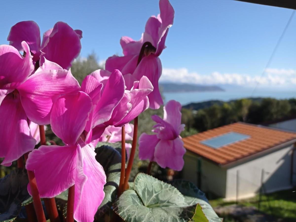 Appartement Le Vigne di Lenf à Porto Venere Extérieur photo