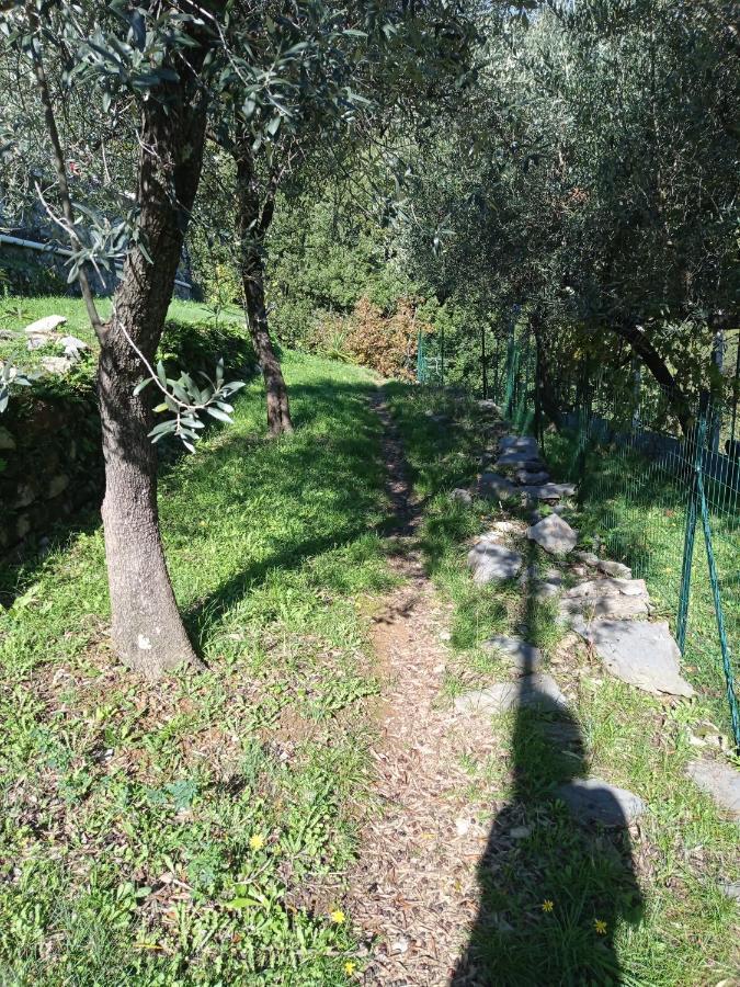 Appartement Le Vigne di Lenf à Porto Venere Extérieur photo